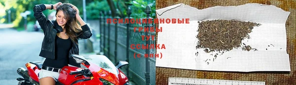 хмурый Алексин