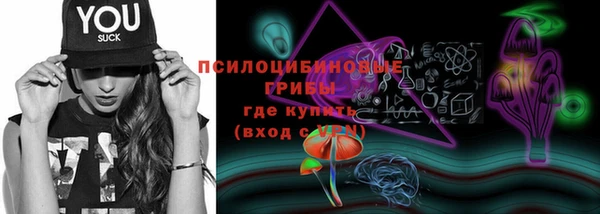 хмурый Алексин