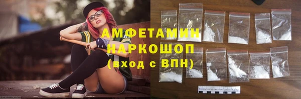 хмурый Алексин