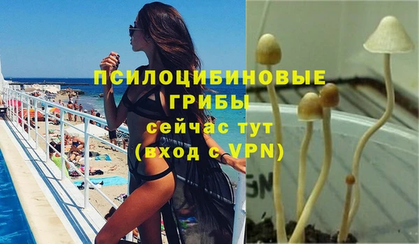 героин Алзамай
