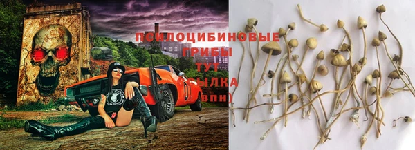 хмурый Алексин