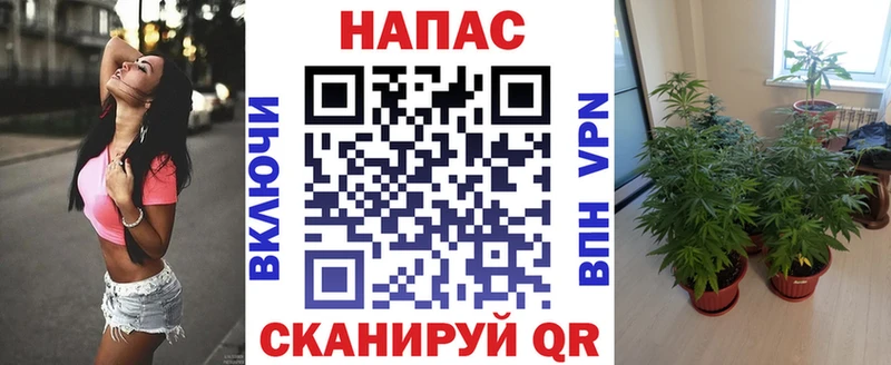 даркнет клад  Спасск-Рязанский  Бошки Шишки Amnesia 